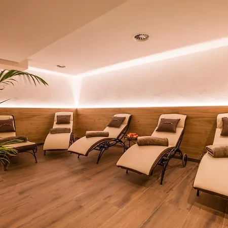 Alpengruss 招待所 图克斯