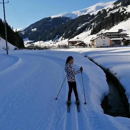 Alpengruss 招待所