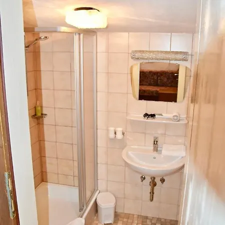 招待所 Alpengruss 3*