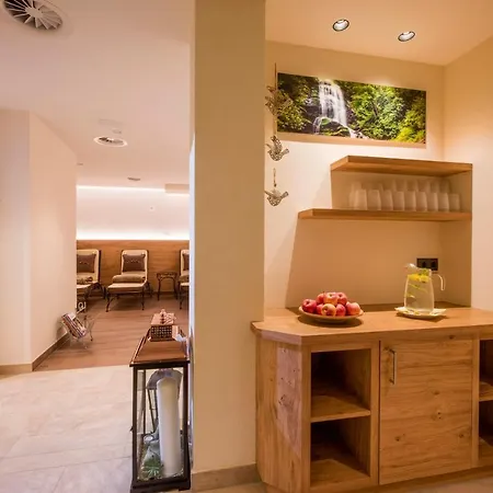 Alpengruss 招待所 3*